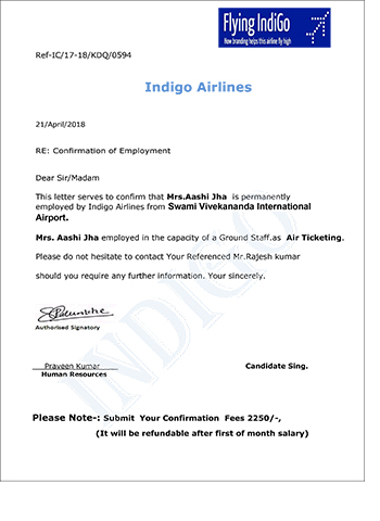 Indigo Department Flight Safety